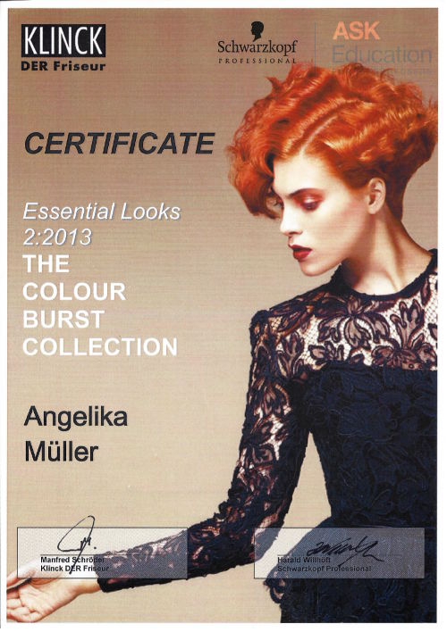 Zertifikat: The Color Burst Collection